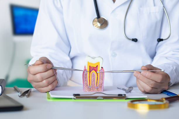 Best Emergency Treatment for Toothache in Chicopee, MA